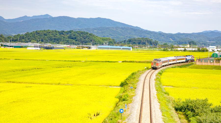 Top-Autovermietungsangebote in Sangju